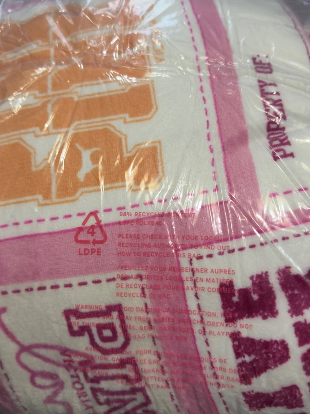 PINK Friday Mystery Mini Dog + Cozy Plush Blanket